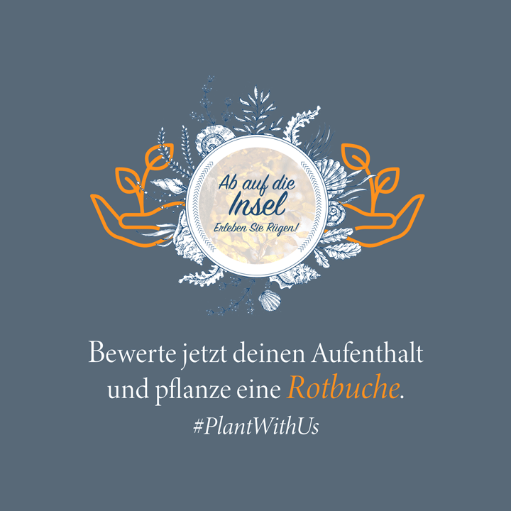 jetzt bewerten rotbuche